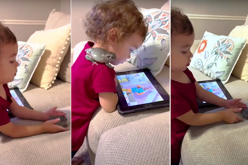 Djevojčica za kućnog ljubimca željela žabu, danas su nerazdvojne