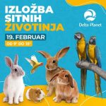 Izložba sitnih životinja 19. februara u Delta Planetu
