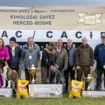 U Livnu održane državne i međunarodne izložbe pasa