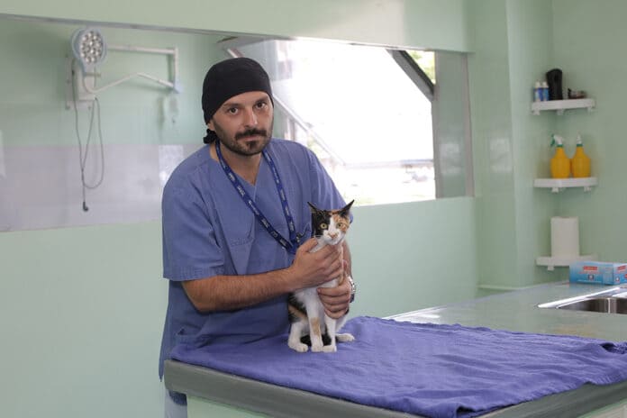 veterinar Ismar Lutvikadić