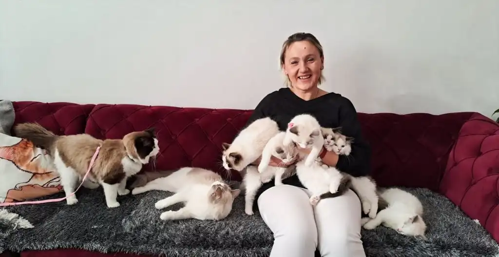 Selma uzgaja posebne 'Ragdoll' mačke koje ljudima izgledaju nestvarno, a želi osnovati i felintološki savez u BiH
