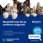 Izaberi Prvo osiguranje kućnih ljubimaca u BiH