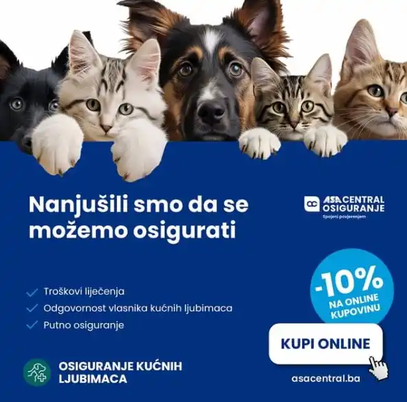 Izaberi Prvo osiguranje kućnih ljubimaca u BiH