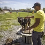 Hoteli za kućne ljubimce sve popularniji