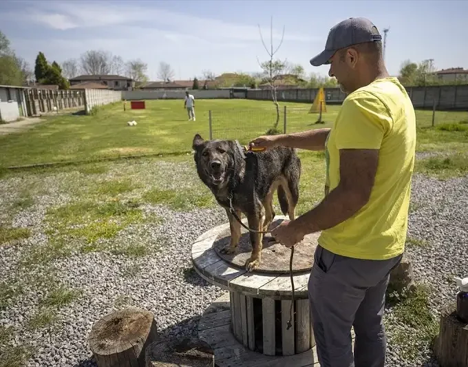 Hoteli za kućne ljubimce sve popularniji