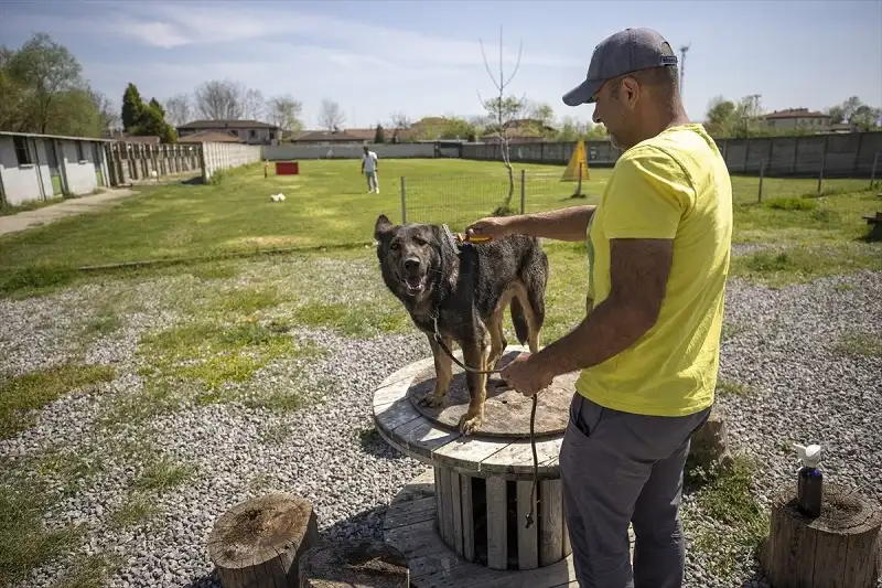 Hoteli za kućne ljubimce sve popularniji