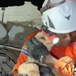 Čudo! Pas preživio 29 dana pod ruševinama nakon zemljotresa u Venecueli (1)