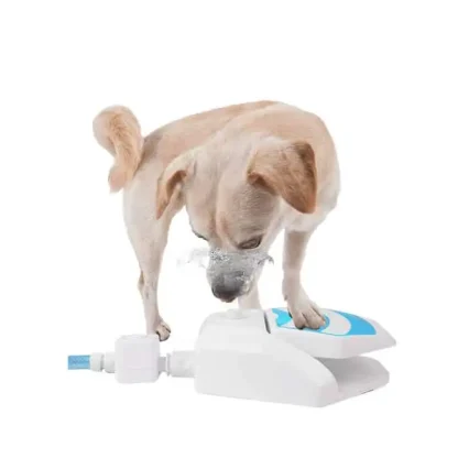 All for Paws pojilica Chill Out fontana za pse i mace