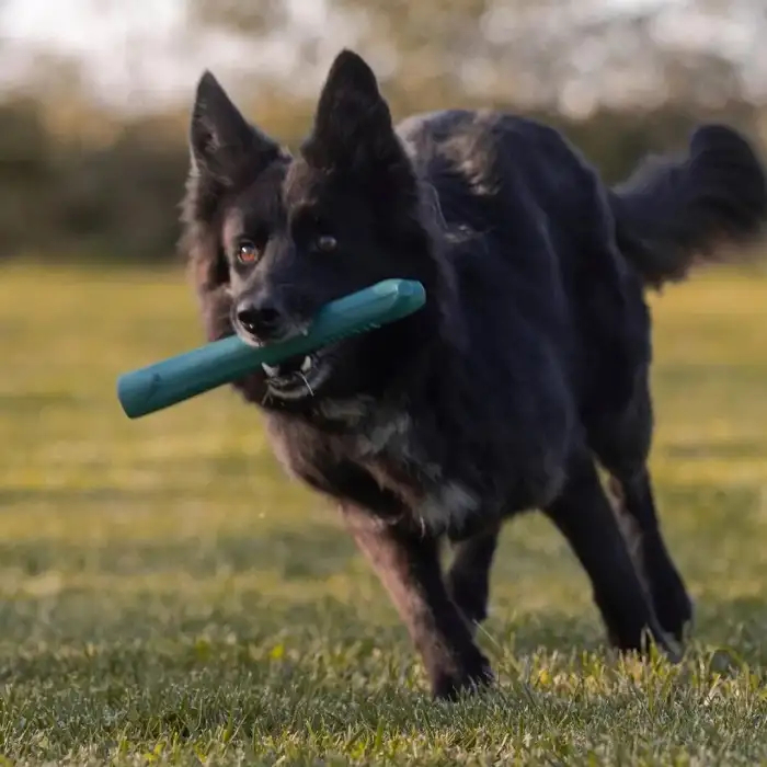 Playdog Rubber Stick gumena igračka za psa grana