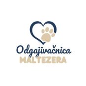 Odgajivačnica maltezera Luna