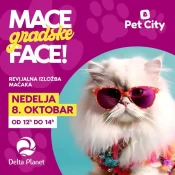 “Mace, gradske face” – revijalna izložba mačaka 8. oktobra u Delta Planetu!