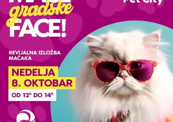 “Mace, gradske face” – revijalna izložba mačaka 8. oktobra u Delta Planetu!