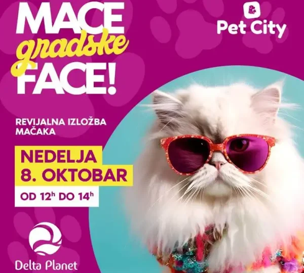 “Mace, gradske face” – revijalna izložba mačaka 8. oktobra u Delta Planetu!