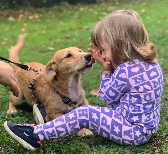 PawFriends Sarajevo Provedite subotu družeći se s napuštenim psima