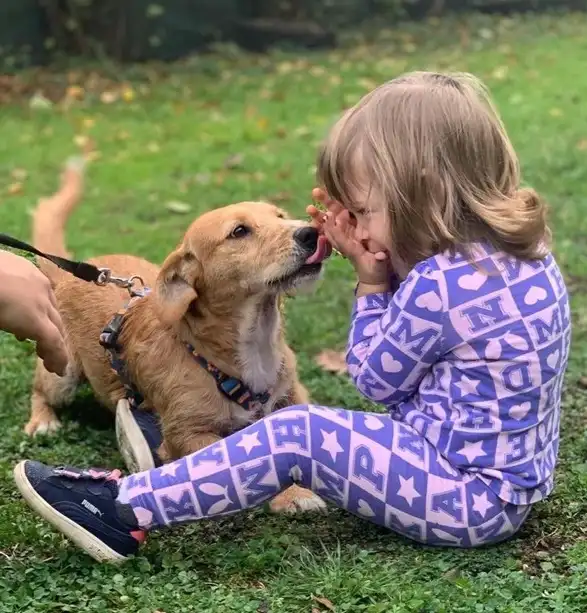 PawFriends Sarajevo Provedite subotu družeći se s napuštenim psima