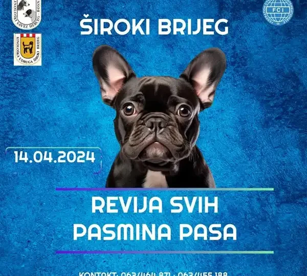 U nedjelju revija svih pasmina pasa u Širokom Brijegu