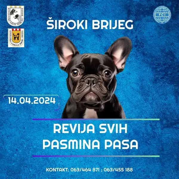 U nedjelju revija svih pasmina pasa u Širokom Brijegu