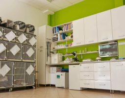 Veterinarska ambulanta BL VET