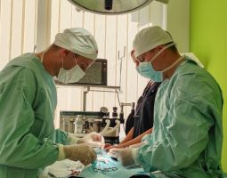 Veterinarska ambulanta BL VET