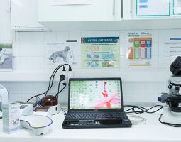 Veterinarska stanica VETLIFE