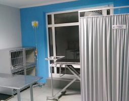 Veterinarska ambulanta VEThealth