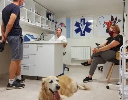 Veterinarska stanica Kalesija