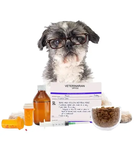 Veterinarske apoteke 